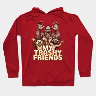 My Trashy Friends Vintage Funny Gift Hoodie